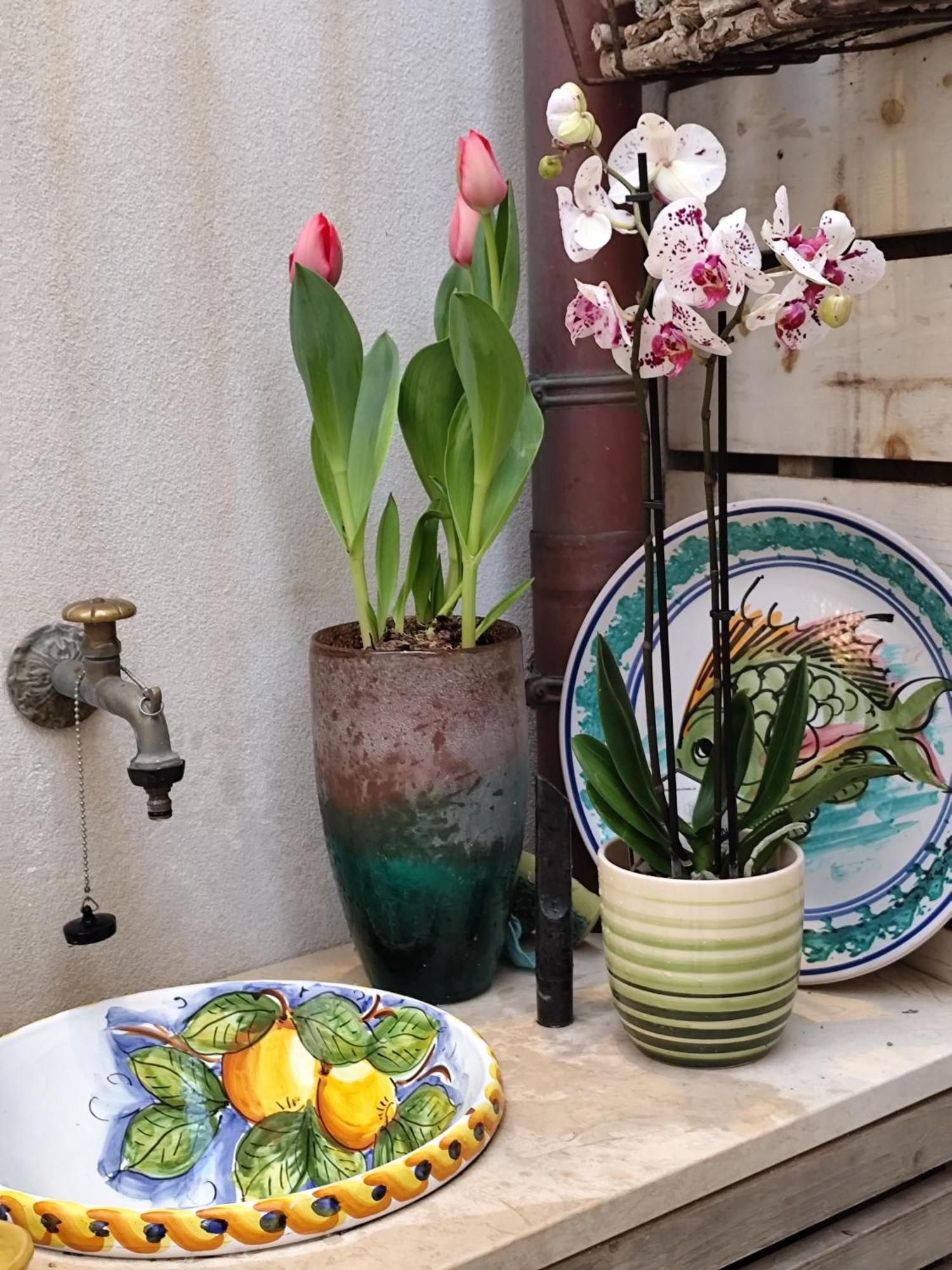 Ammira Apartment Syracuse Luaran gambar
